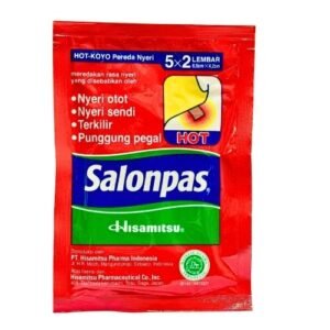Salonpas 5x2 sheets Hot Koyo